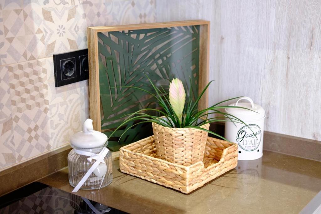 Apartamento Vintage En El Centro De 马拉加 外观 照片